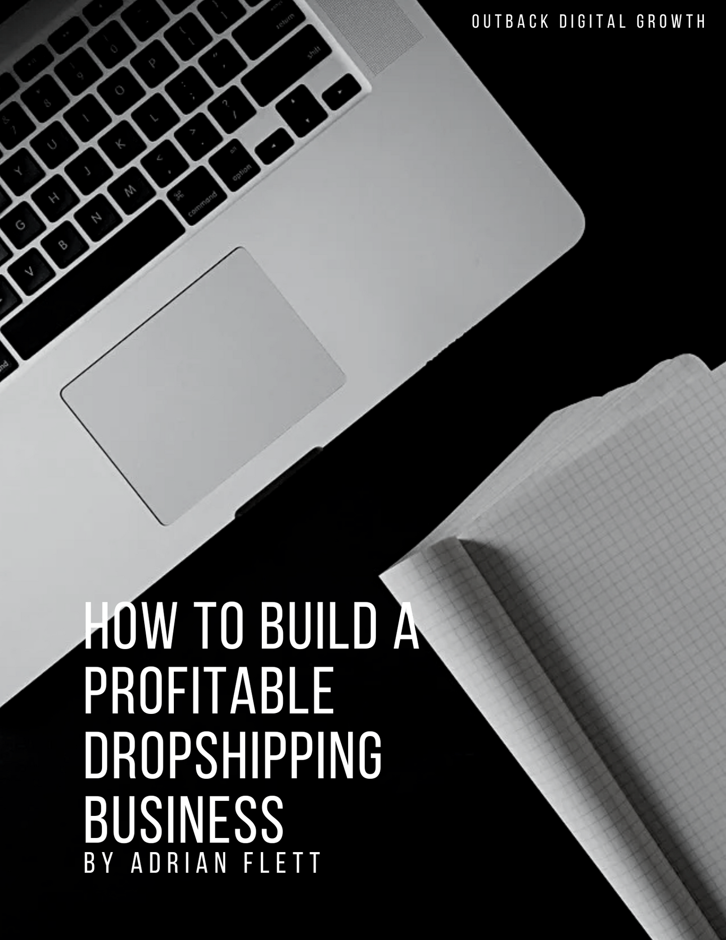 How to Build a Profitable Dropshipping Business - Ebook with MRR